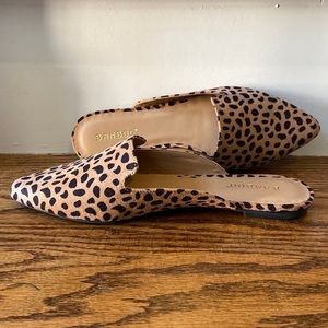 New In Box Cheetah Mules Sizes 6